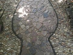 -水绘园