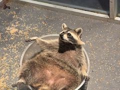 -常州海昌海洋探索馆
