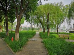 -廊坊文化艺术中心