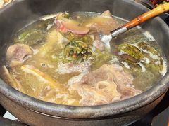 -毛辣果·酸(OHA复兴西路店)