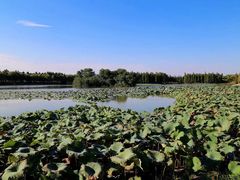 -艾溪湖湿地公园