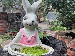 -谷咖啡·鲜花绿植花园餐厅