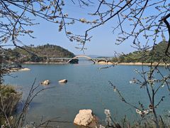 -广州市流溪河国家森林公园