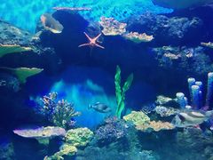 -华夏文旅西安度假区