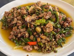 -铁山坪森林公园