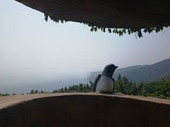 -燕窝岭