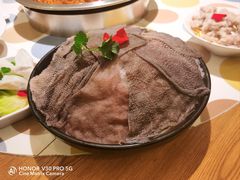 -渝厨生态火锅(合川区府店)