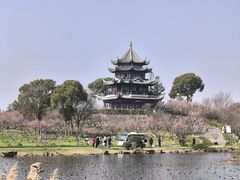 -上海海湾国家森林公园