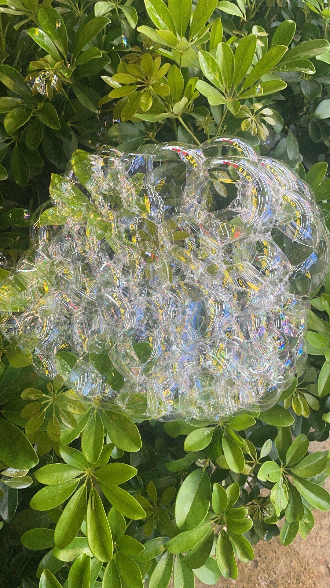 美丽的 小泡沫跟大泡沫