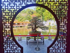 -深圳仙湖植物园