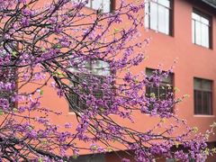 -天台山赤城山景区