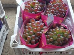 -马陆小张葡萄园农家乐