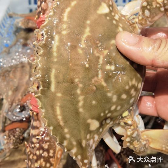 王永鲜活海鲜(金鼎·领域店)