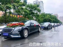 -蚂蚁婚车