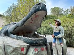 -辛玛王国游乐园