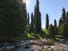 -新疆那拉提国家旅游度假区