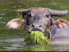 -Global酒吧(五道口店)