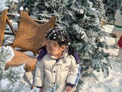 -HERRE·FARM 赫尔露营农场·团建聚会包场