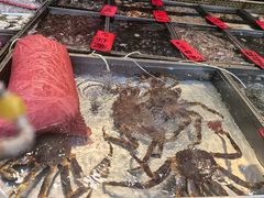 -湛江渔港·大排档(乐园路总店)