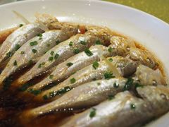 梅子鱼-启东海鲜人家(古美路店)