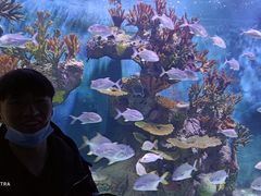 -多彩贵州城极地海洋世界