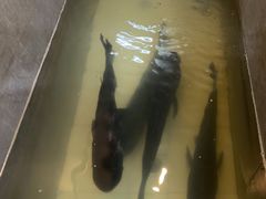 -鄱阳湖·江西小炒·瓦罐煨汤(五道口店)