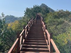 -大岭沟猕猴桃谷风景区