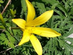 -白草畔自然风景区