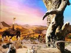 -国家自然博物馆