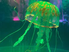 -常州海昌海洋探索馆