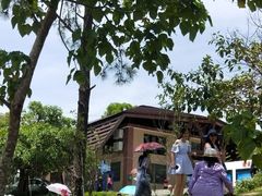 -广东惠东海龟国家级自然保护区