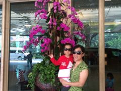 iphone_upload_pic-新加坡香格里拉