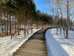 -北极村旅游风景区