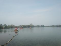 -西湖外事游船(花港观鱼码头)