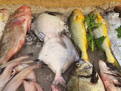 -霞客居酒店·霞客食府·宁海特色小海鲜
