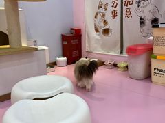 -爪爪喵星球·猫舍(前海卓越店)