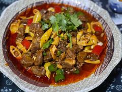 -青城甲(青城山店)