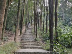 -广州市帽峰山景区