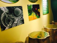 -上海昆虫博物馆