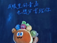 -琴岛之星摩天轮