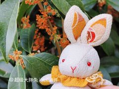 -济南南郊宾馆