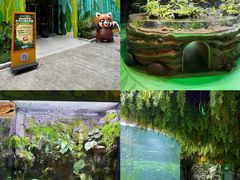 -海合安成都极地海洋公园