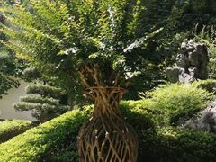 -南山植物园