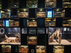 -太平洋海底世界