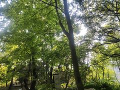 -广州市石门国家森林公园
