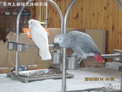 绿光农场照片 019-苏州太湖西山岛开心农场