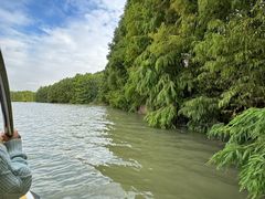 -上海海湾国家森林公园