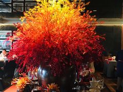 -秀儿四九城·新京菜(亚运村鸟巢店)