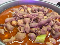 -彭记铁锅肥肠(东四总店)