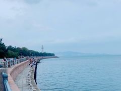 -悦海公园